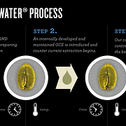 Swiss-Water-Process-Achilles-Coffee-Roasters-San-Diego