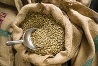 Buy-Green-Coffee-Beans-Online-Achilles-Coffee-Roasters-San-Diego-California