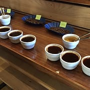 Achilles-Coffee-Roasters-San-Diego-Cupping-1a