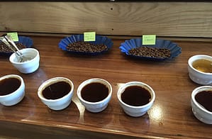Achilles-Coffee-Roasters-San-Diego-Cupping-2a